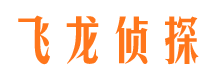 龙湖侦探公司